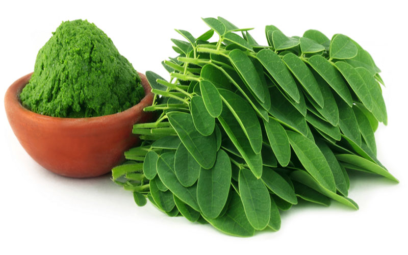 Para que sirve la moringa-Como Alimento Nitritivo