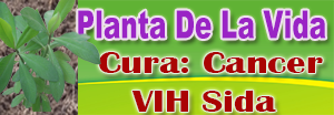 Planta De La Vida