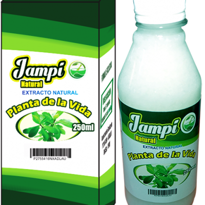 Extracto natural planta de la vida 250 ml