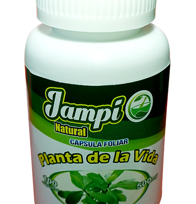 capsula foliar de planta de la vida